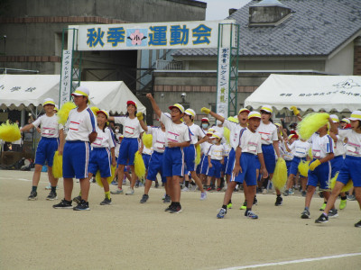 IMG_4747 (2)
