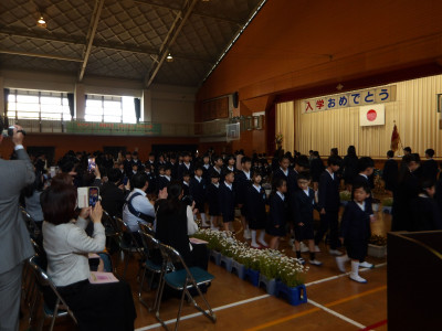 IMGP1291